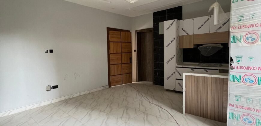 Luxury 2 Bedroom Apartment with Swimming Pool and Gym